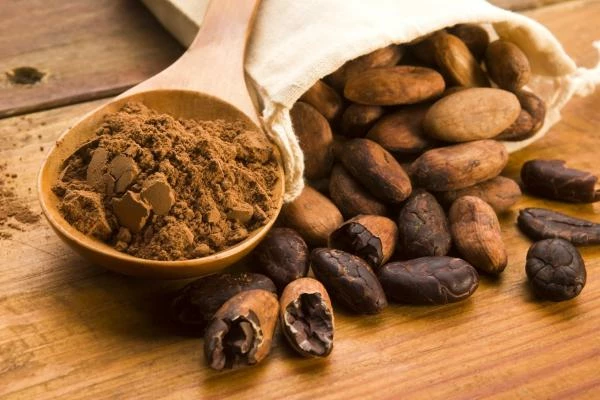 The Global Cocoa Market Struggles for Restoring Plummeted Demand